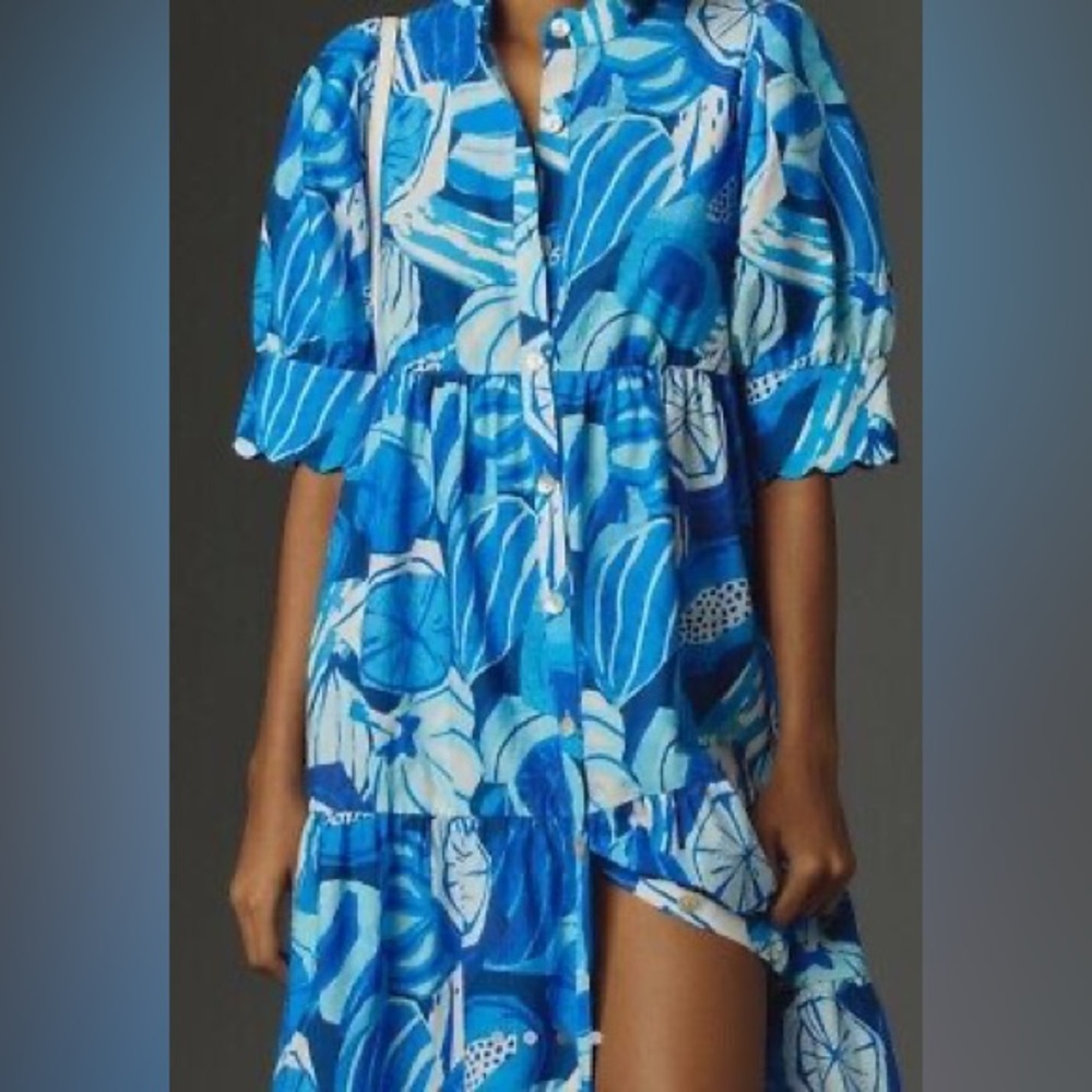 Anthropologie Farm Rio Blue Fruit Maxi Dress - Picture 2 of 6